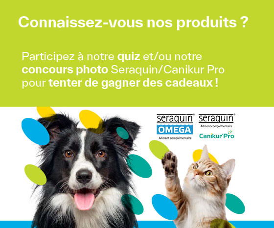 Participez à notre quiz et/ou notre concours photo Seraquin/Canikur Pro pour tenter de gagner des prix !